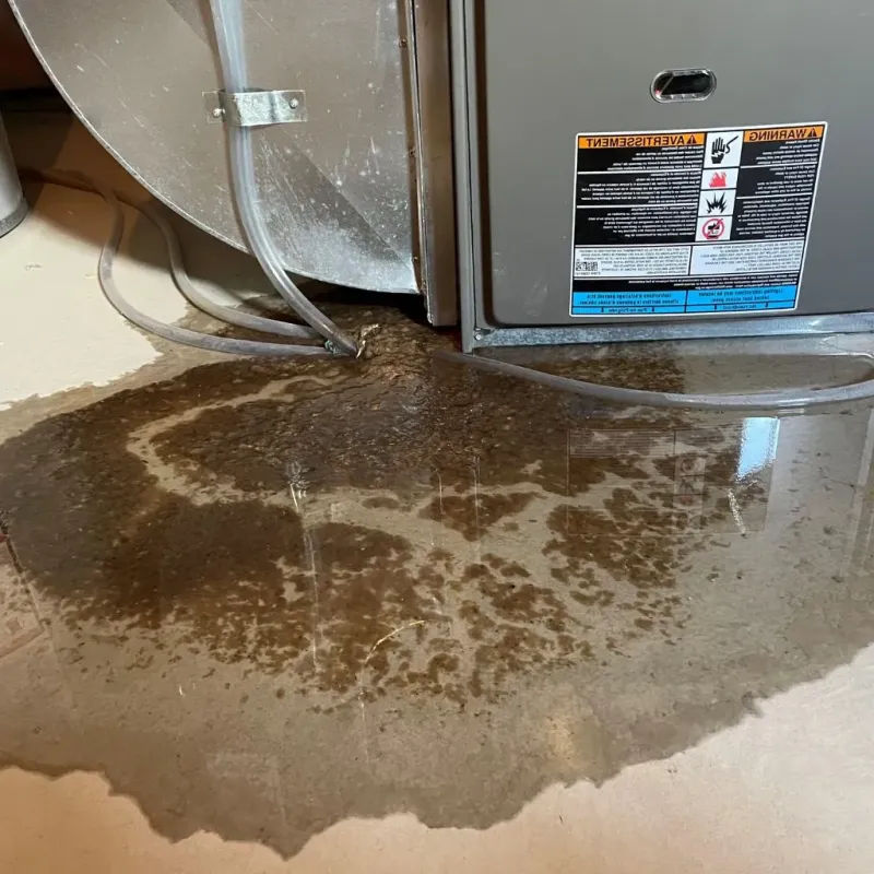 Pipe Burst and Leak Restoration in Katonah, NY